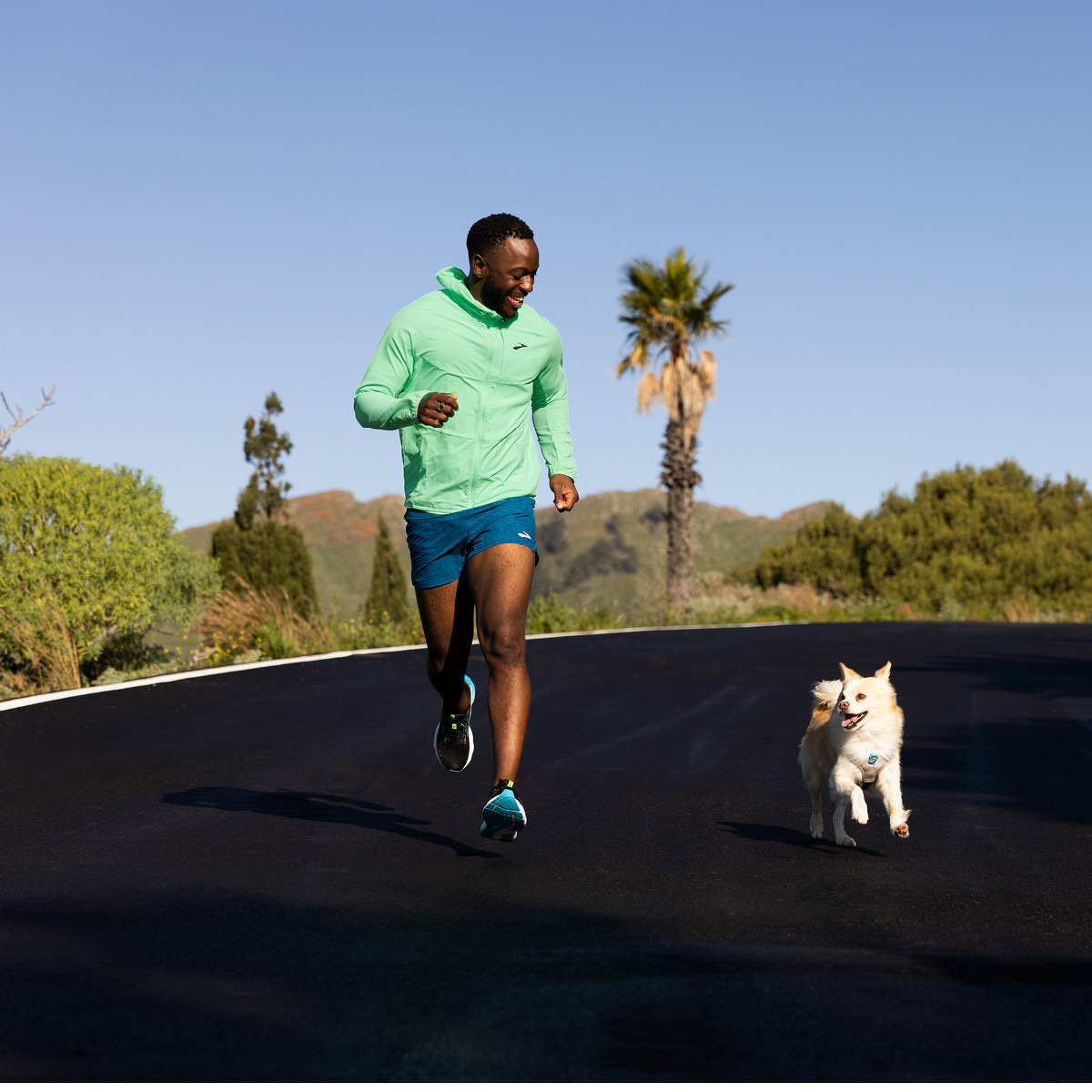 Brooks Glycerin 20 - Herren