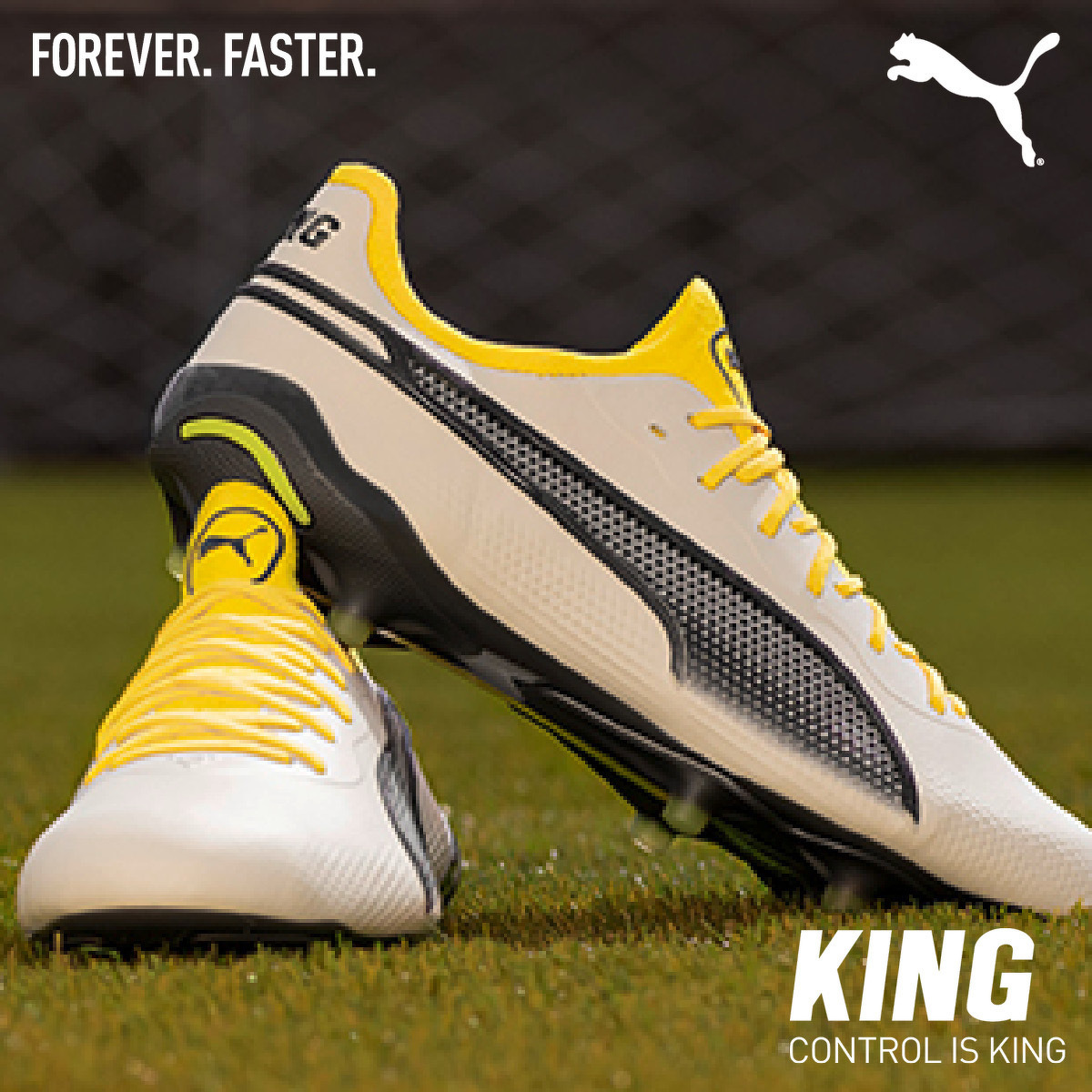 Puma King