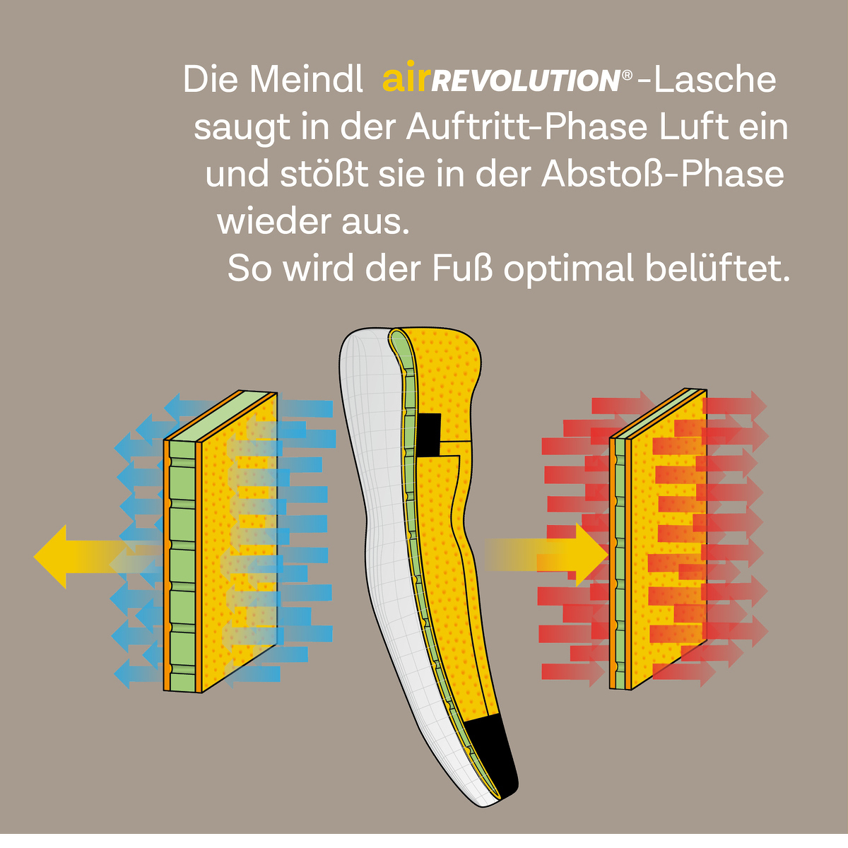 Meindl Air Revolution 1.5