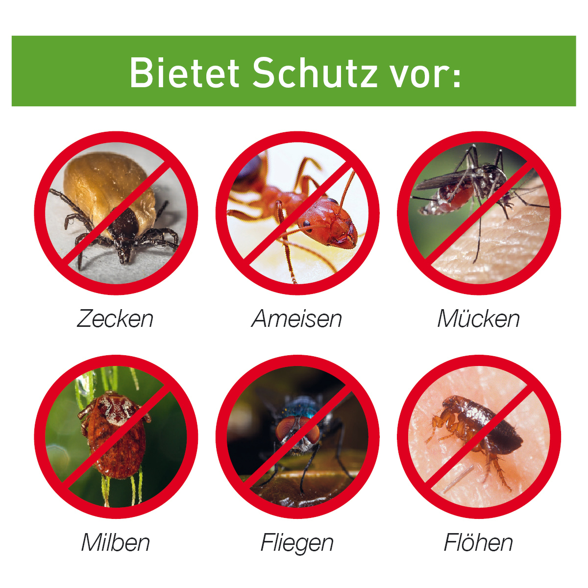 Maul - insect shield