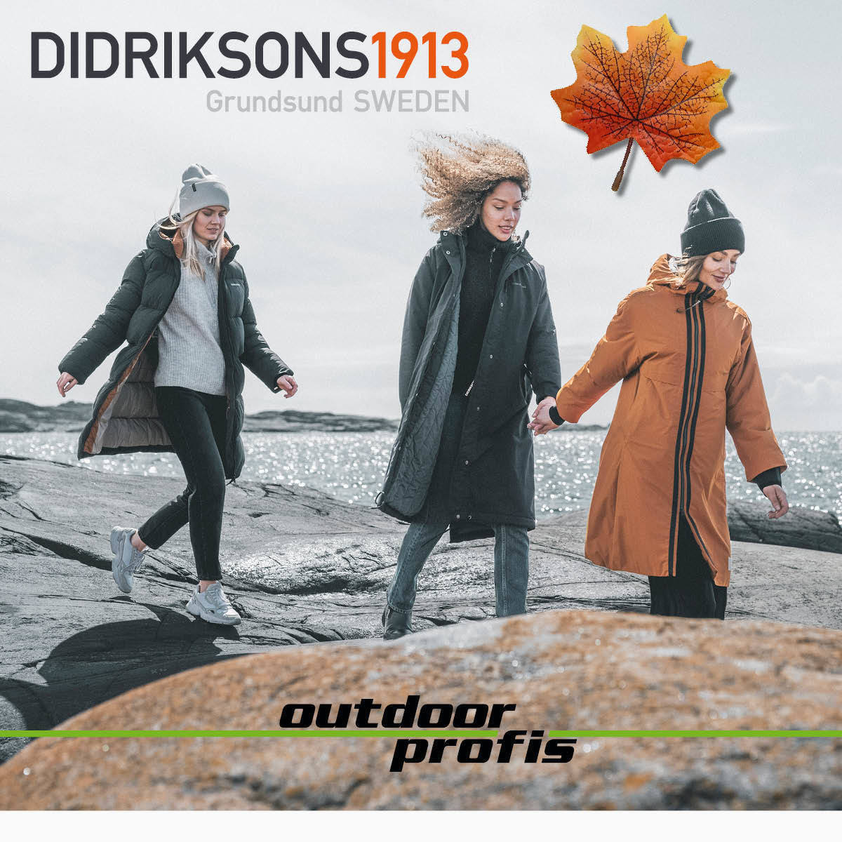 Didriksons