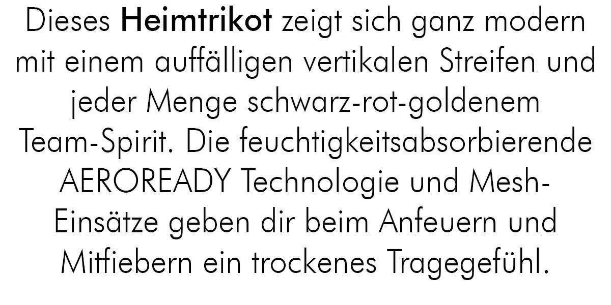 adidas DFB Heimtrikot WM22