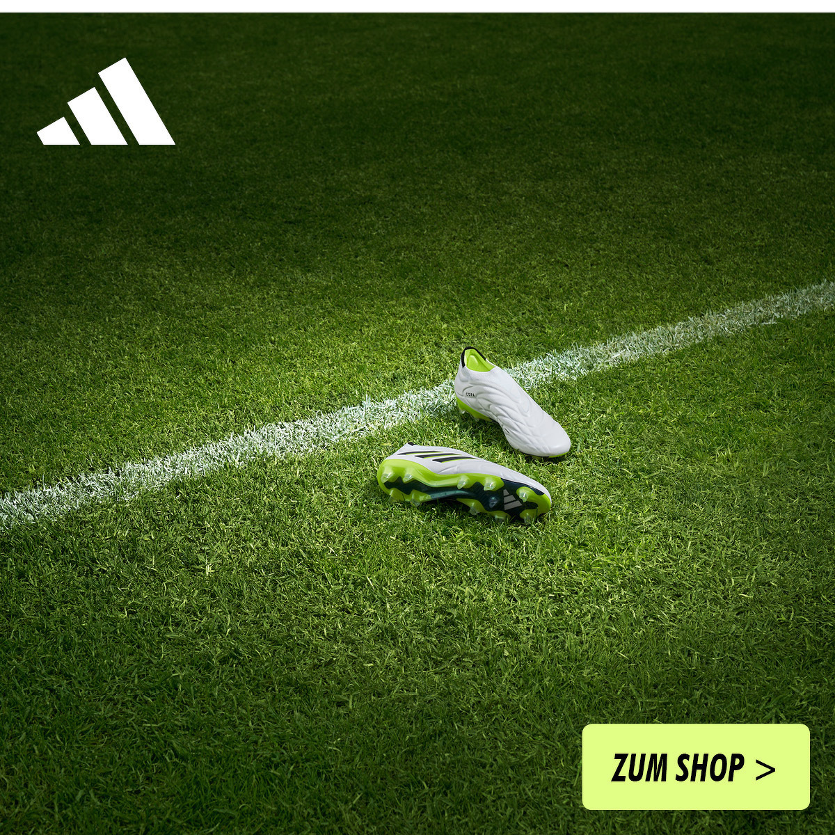 Adidas | Crazyrush Pack X Crazyfast - Predator - Copa