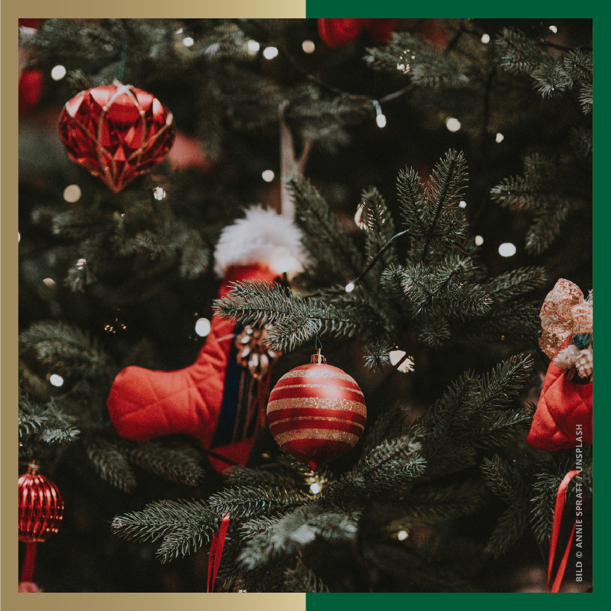 Wir wünschen frohe Weihnachten!