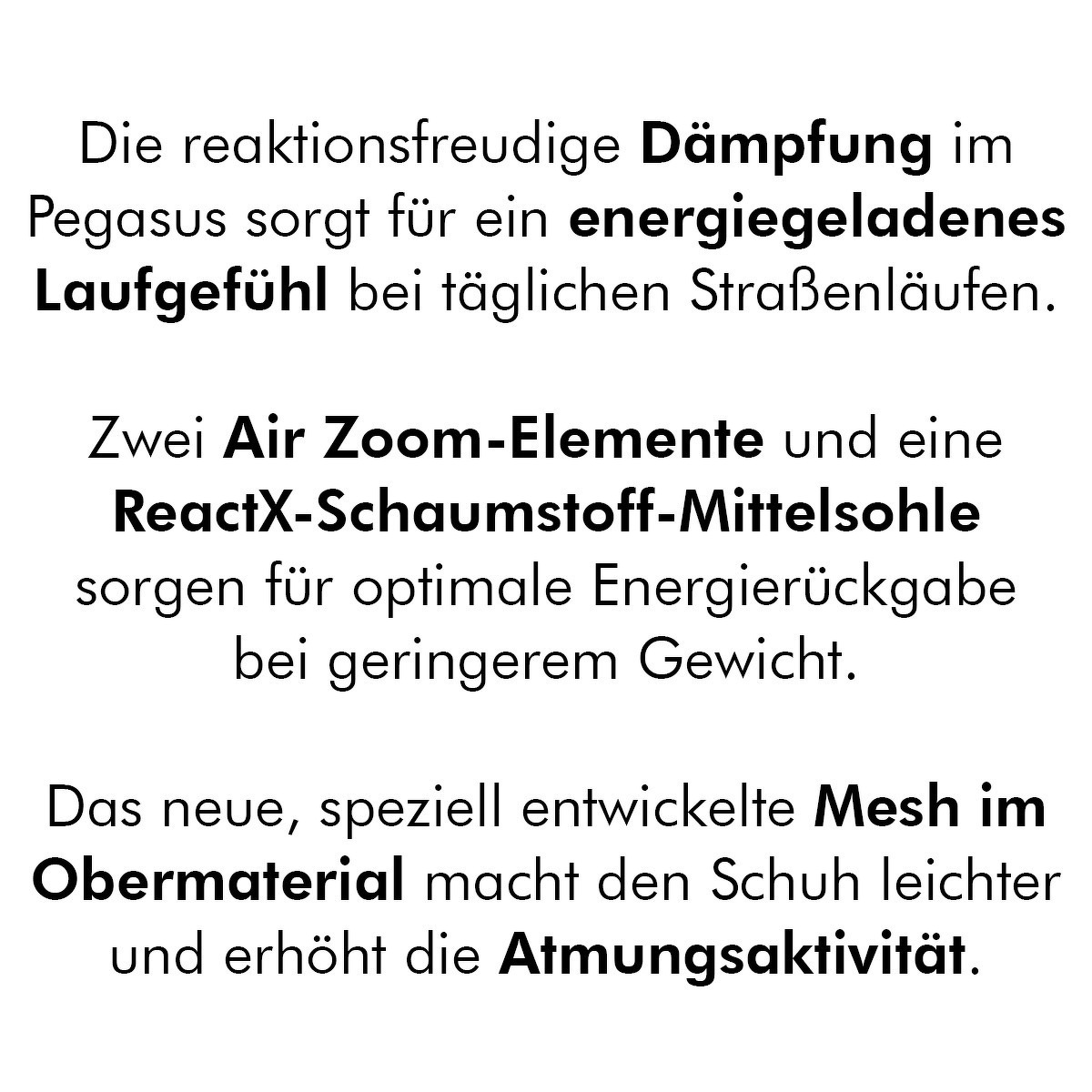 Nike Run | Pegasus 41