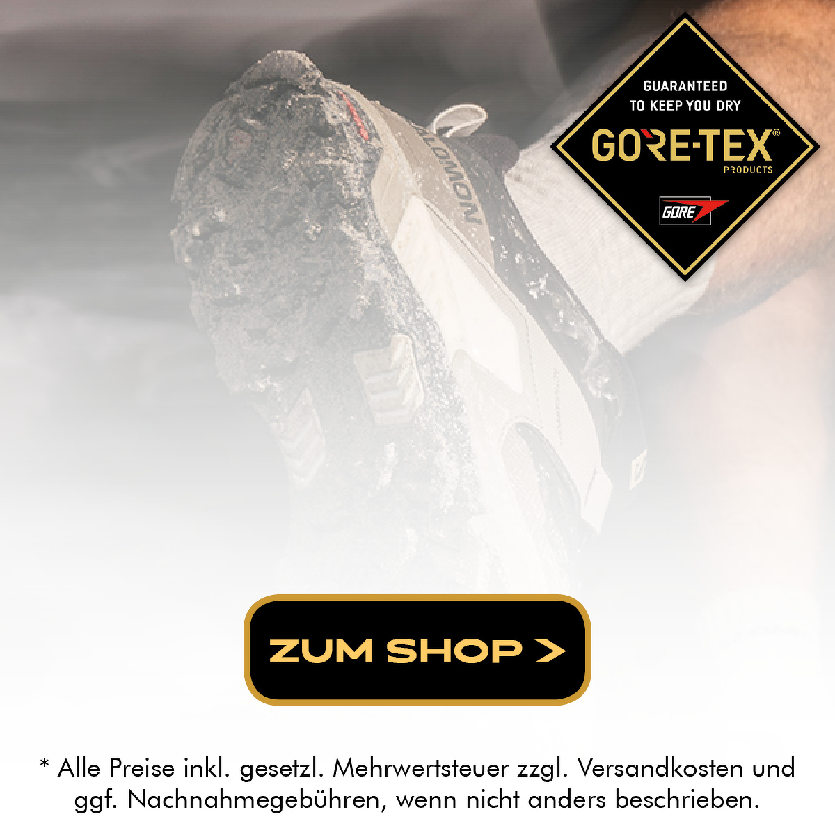 Salomon X Ultra 4 GTX®